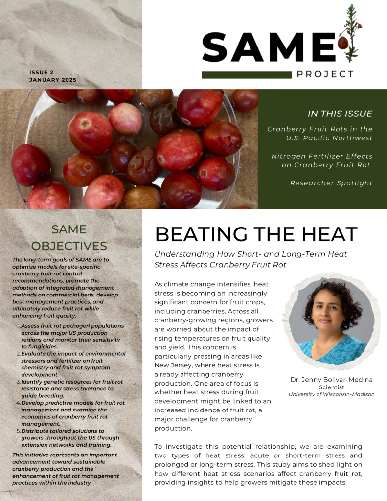 Newsletter Issue 2, January 2025